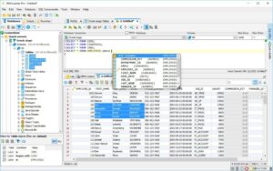 DbVisualizer Pro
