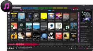 Helium Music Manager Premium