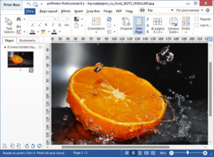 priPrinter Professional